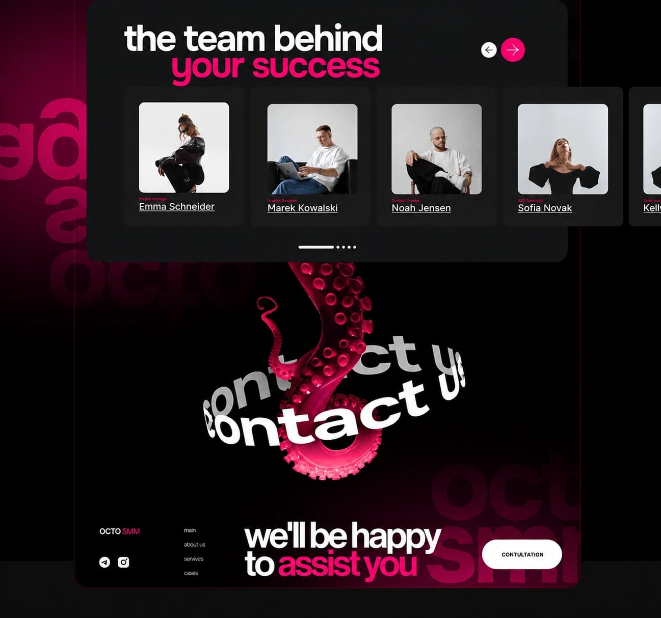 Octo SMM — Social Media Marketing Platform — UI/UX design screen 6
